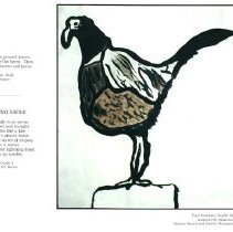 Sun Twenty One Dodds Pacific Region 1995 186