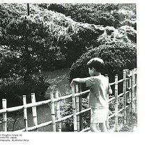 Sun Twenty One Dodds Pacific Region 1995 205