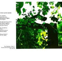 Sun Twenty One Dodds Pacific Region 1995 210