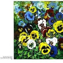 Sun Twenty One Dodds Pacific Region 1995 216