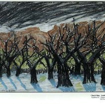 Sun Twenty Two Dodds Pacific Area 1996 111