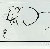 Sun Twenty Two Dodds Pacific Area 1996 177