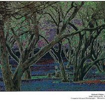 Sun Twenty Two Dodds Pacific Area 1996 205