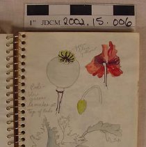 Spiral Side Bound Hunt / Bienfang Book w/ Horse On Cover