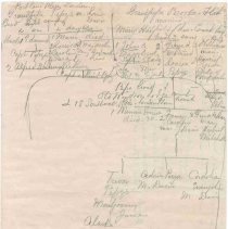 Family Tree Of Davis/Pepys Document