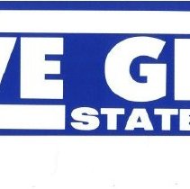 VOTE FOR DAVE GRAY STATE HOUSE bumper sticker