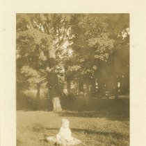 Cornelia Alexander Elmore, 1930