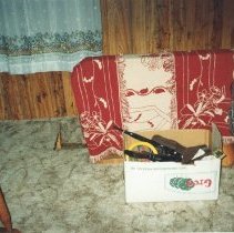 Home on Emerald Lake