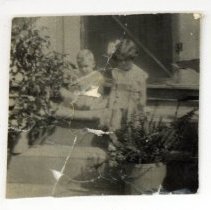 Cornelia Alexander Elmore