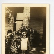 Cornelia Elizabeth Alexander