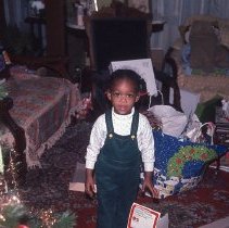 Fred Williams Collection: Williams - Taylor Christmas