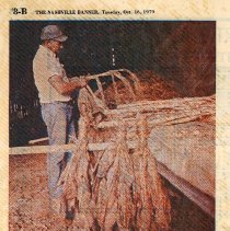 Tobacco: Stripping Tobacco