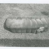 (789)1931 8-98 Sedan Set Cusion with Original Upholstery