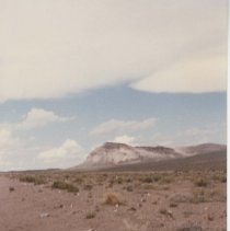 (530) Caliph on Road to the Cord Circle L Ranch, Fish Lake Valley, Nevada