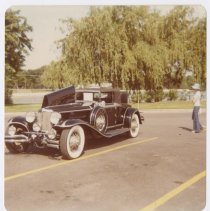 Black Cord L - 29 Cabriolet next to a weeping willow