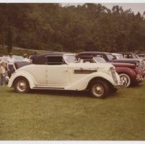Auburn and Cords in a line (right facing) on lawn