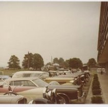 Unidentified Woman with small dog on chair in front of motel with Parking lot Left Aligned