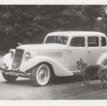 Dog next to a 1936 Auburn 654 sedan