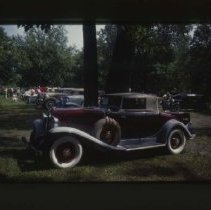 1931 - 1933 Auburn Cabriolet in forest