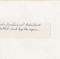 1932 Duesenberg Model J-476 speedster owned by Don Carr in a park