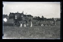 Waimate ploughing match.  Brown and horses working plough