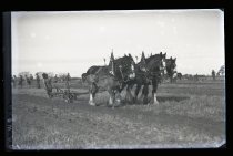 Waimate ploughing match.  Brown with horses and plough