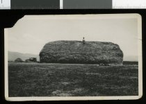 Hay at Viewfield, Hakataramea