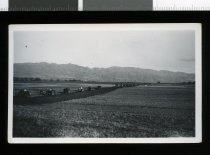 Young Farmers Club ploughing match, Hakataramea