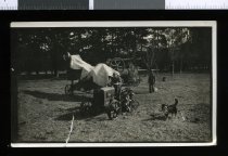 Alex McCaw on Austin tractor sawing,  Andrews and Beven chaffcutterand John