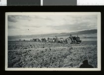 Young Farmers' Club ploughing match, Hakataramea