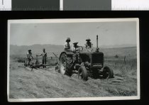 Harvesting at Viewfield, McCaw Farm, Hakataramea
