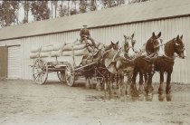 Adam White, Teamster at Teams Farm, Otaio