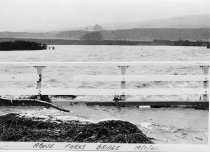 Waihao Forks Bridge during the 1961 flood.