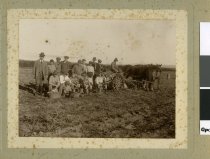 Potato picking - war effort by High School Boys and teacher.