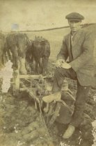 Andrew Martin with horse team and plough
