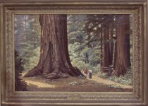 California Redwood Park, 1915, by Andrew P. Hill