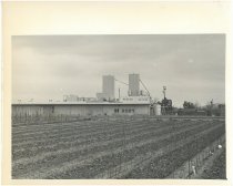 Beech-Nut Life Savers Plant, San Jose