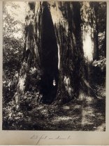 "23 feet in diameter"