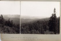 Logging in the Santa Cruz Mountains
