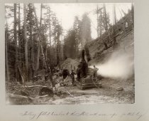 Logging at Big Basin