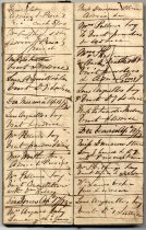 Dr. Warburton Ledger, page from 1879