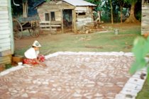 "Making Tapa - Tonga, Langa Fonua - Tapa Boards"