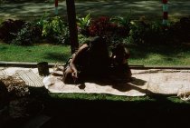 "Making Tapa - Tonga, Langa Fonua - Tapa Boards"