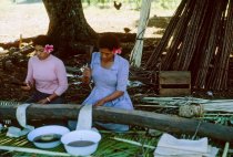 "Making Tapa - Tonga, Langa Fonua - Tapa Boards"