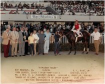 "Diplomat Ruler" at Bay Meadows Racetrack, 1986