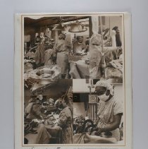 Display Board B2019.1.241