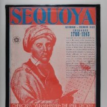 Display Board B2019.1.1169