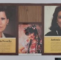 Display Board B2019.1.1226