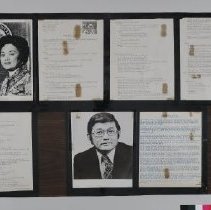 Display Board B2019.1.1317