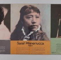 Display Board B2019.1.825